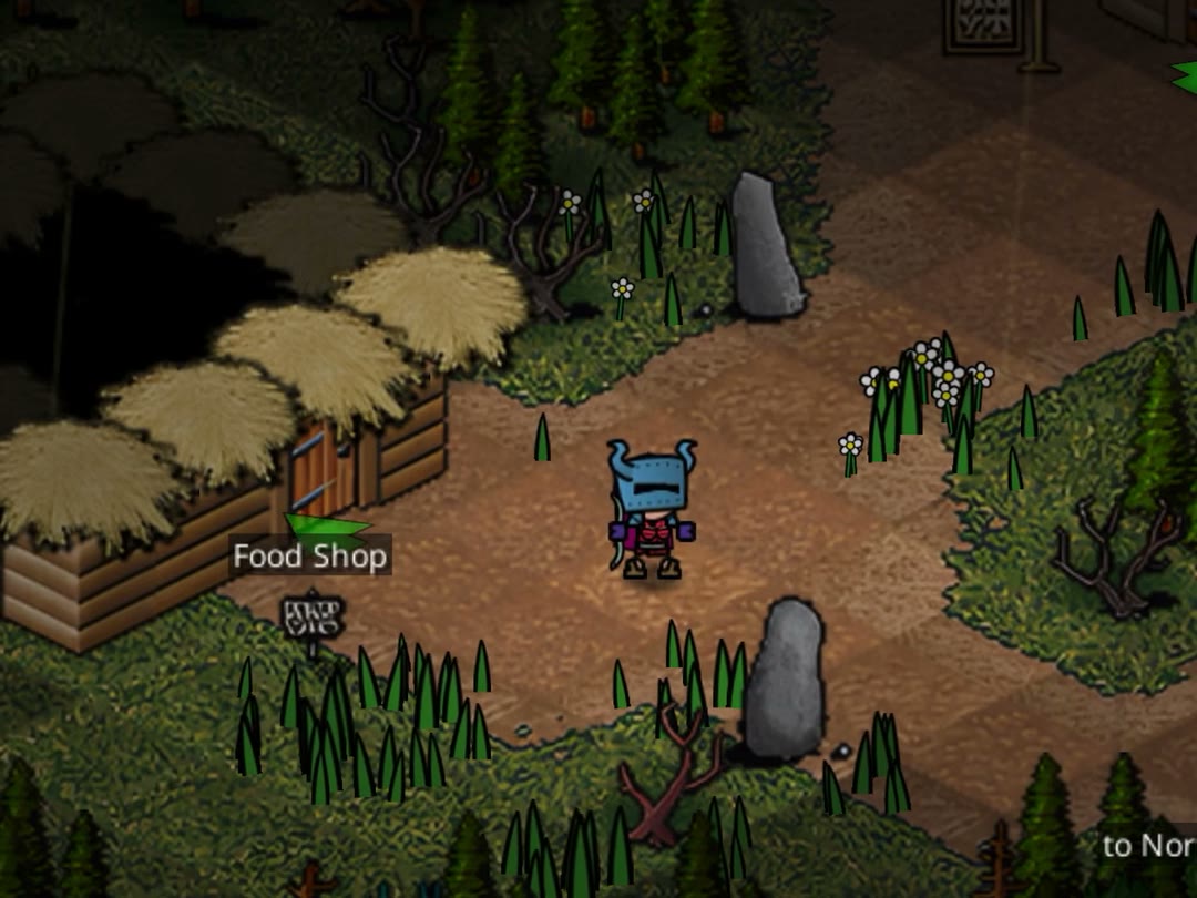 A hero standing on a village path in Slashin’, with tall grass and white flowers growing along the edges.